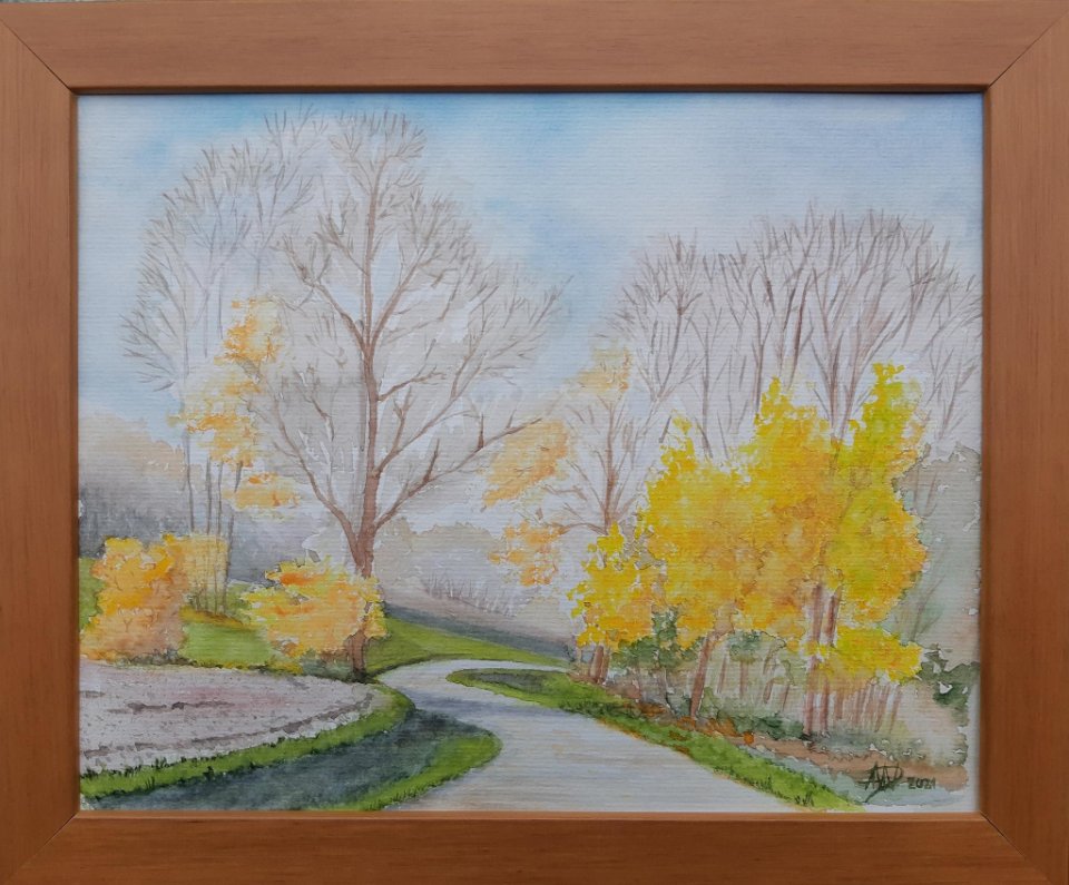 Couleurs d'automne (près de Feigères)